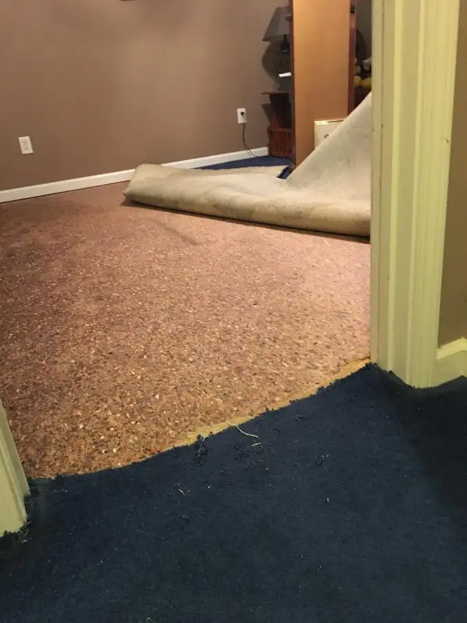 Carpet pad removal revealing water damage during Drying & Dehumidification in Cookeville