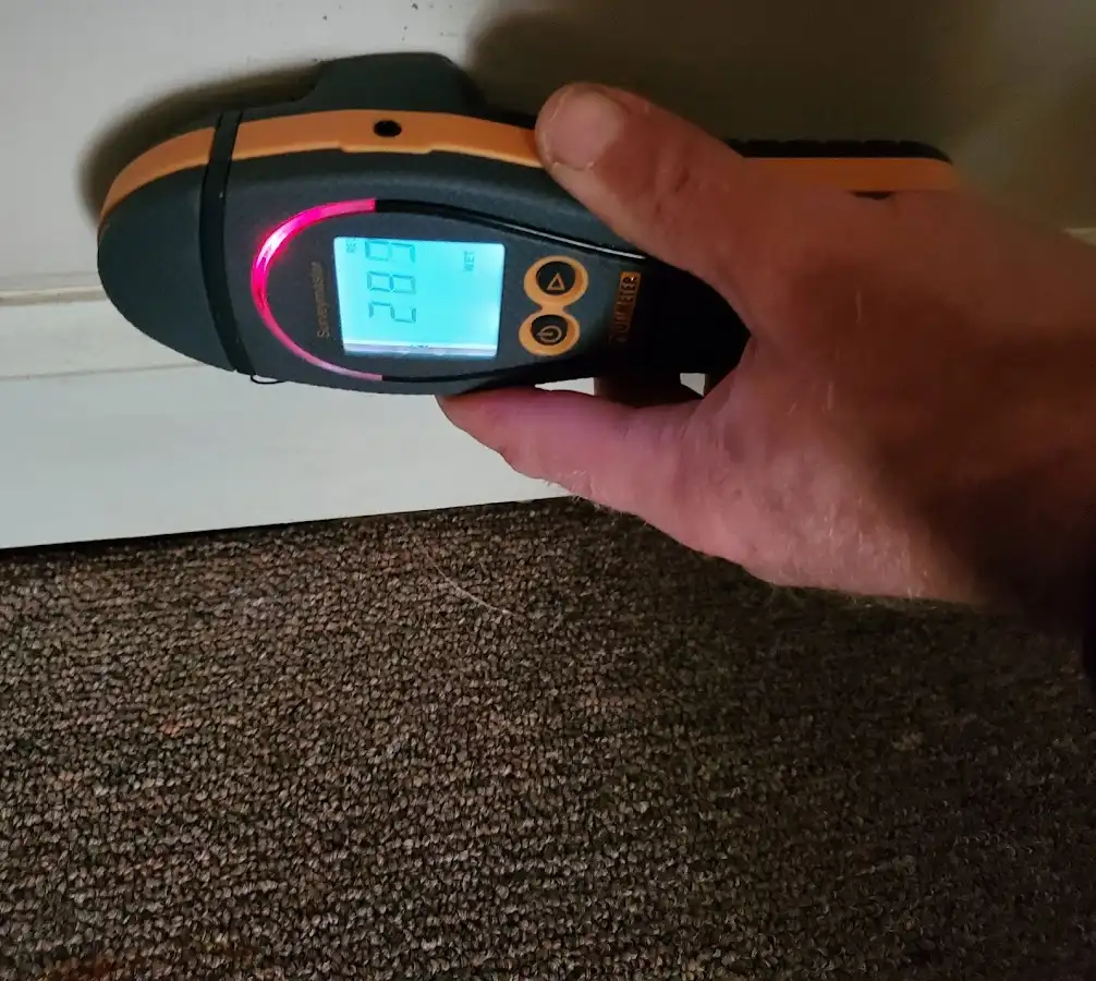 Moisture detection at baseboard during Mold Inspection & Testing in Cookeville
